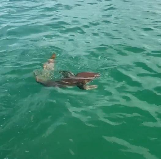 Capt Zach (Zoned In Charters) 