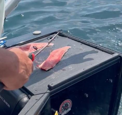 Tin Missile Trophy Sportsfishing