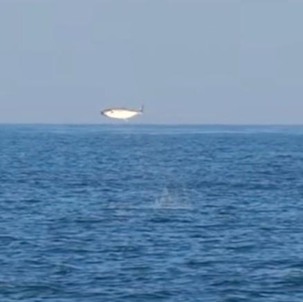 Charter Image