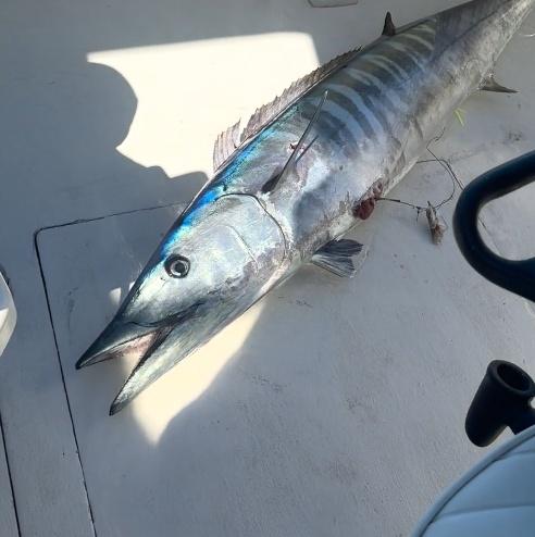 Great Fishing Charter