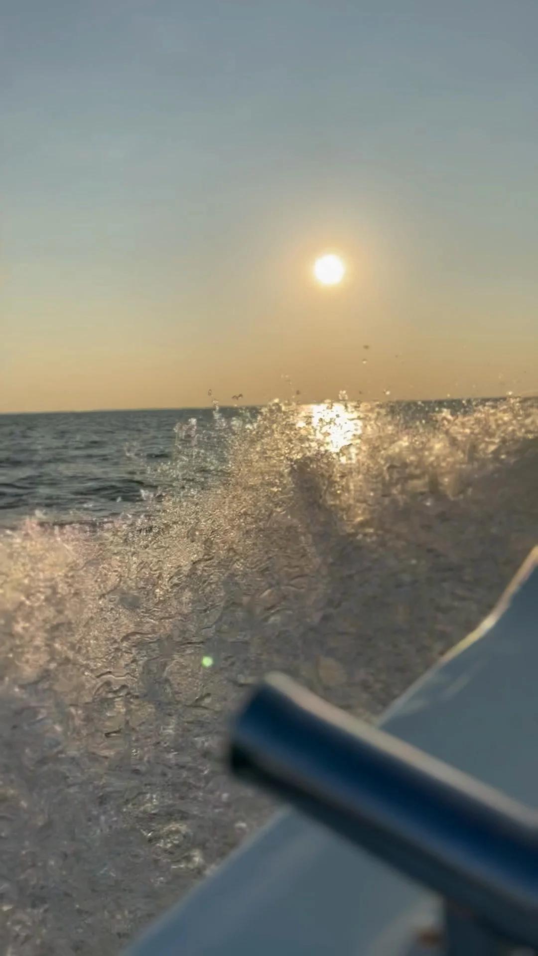 6 hour trip with Captain Chris and Jay