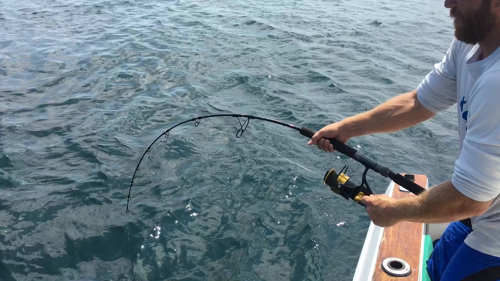 Charter Image