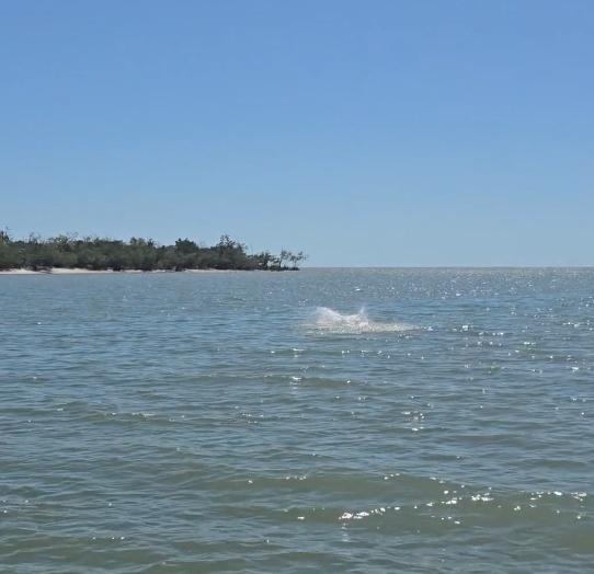 Charter Image