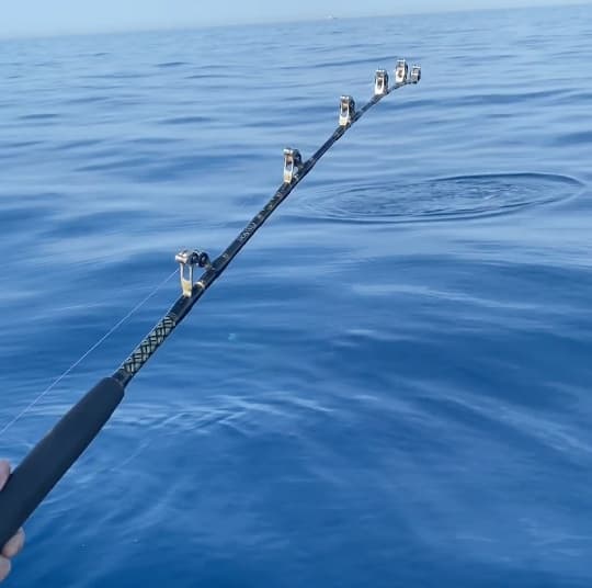 Charter Image