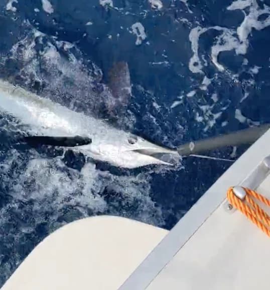 Charter Image