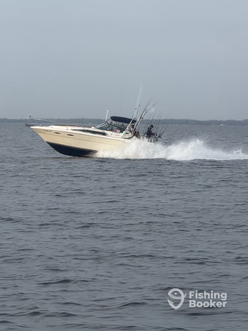 Charter Image