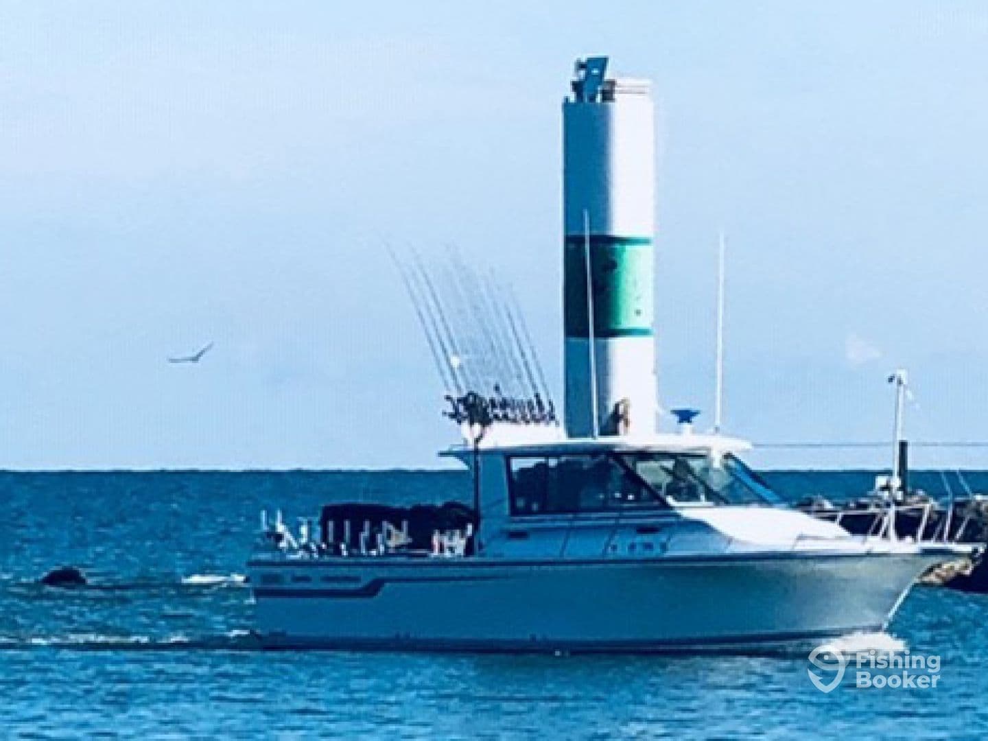 Charter Image