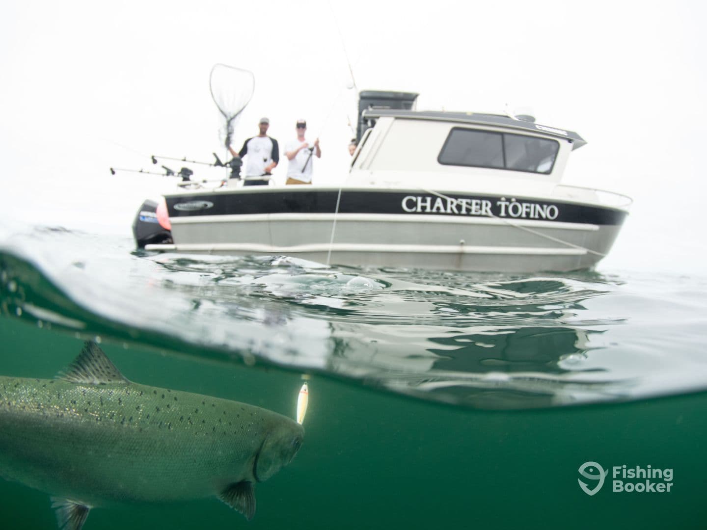 Charter Image