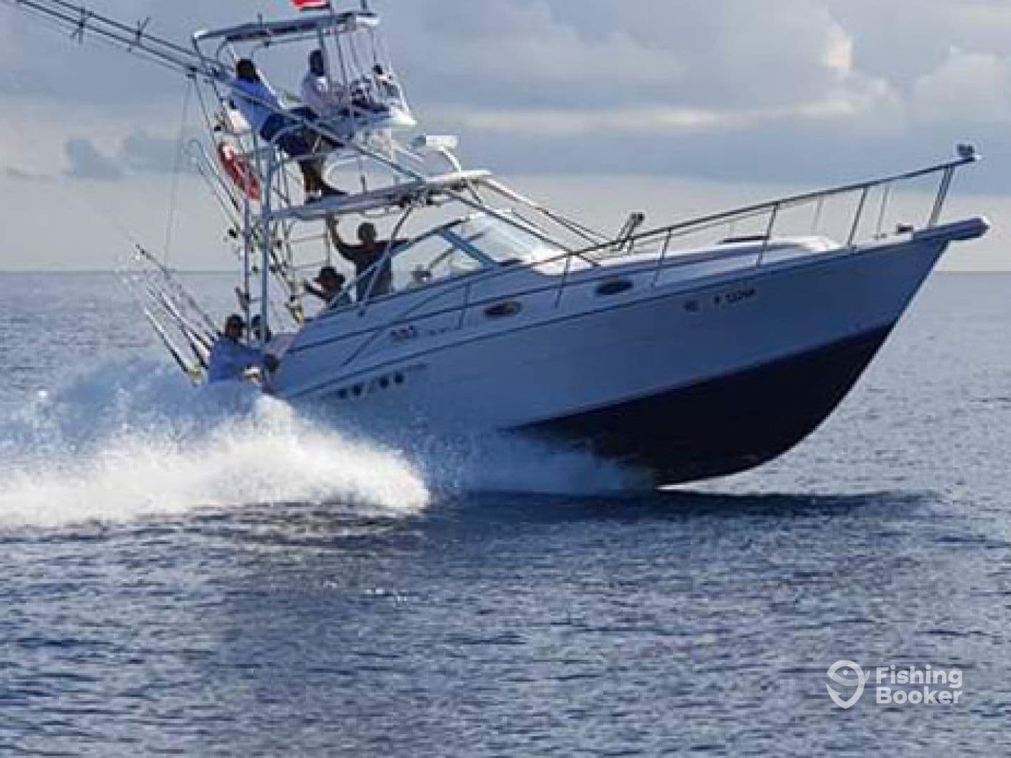 Charter Image