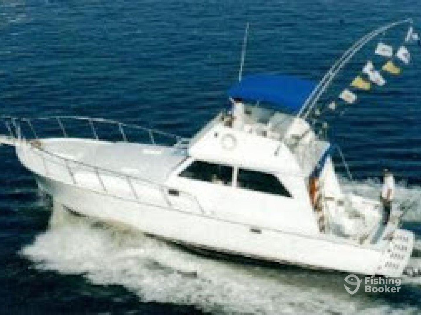 Charter Image