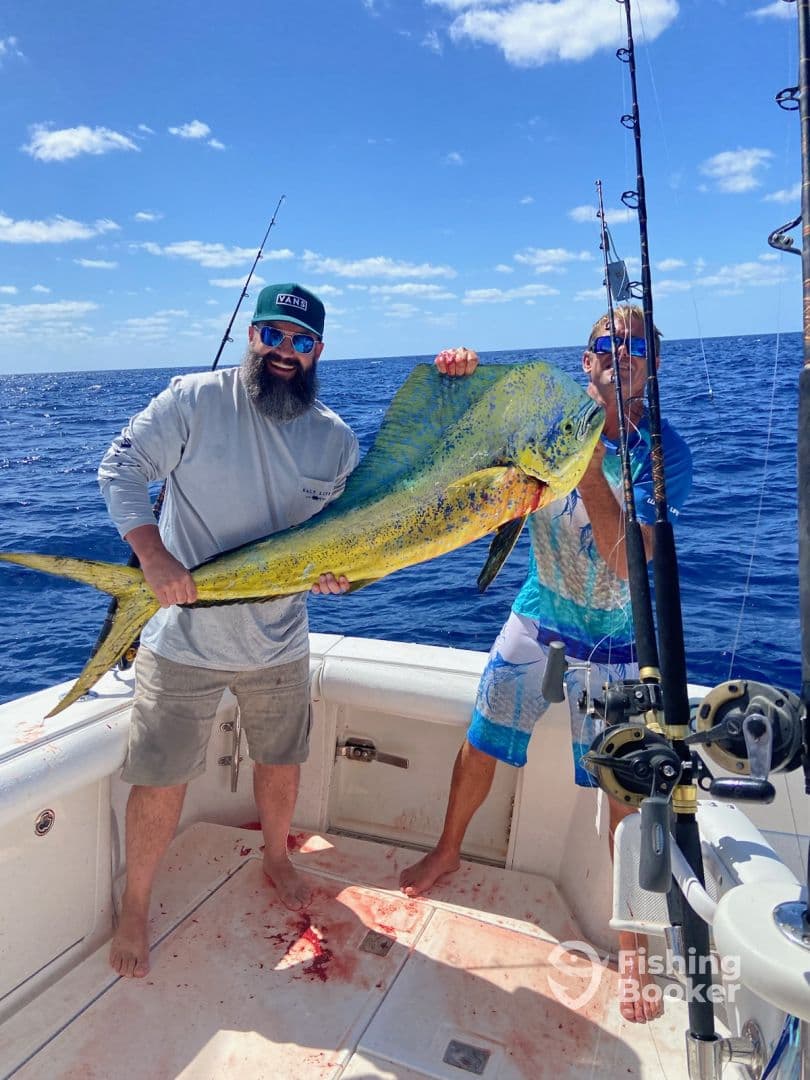Charter Image