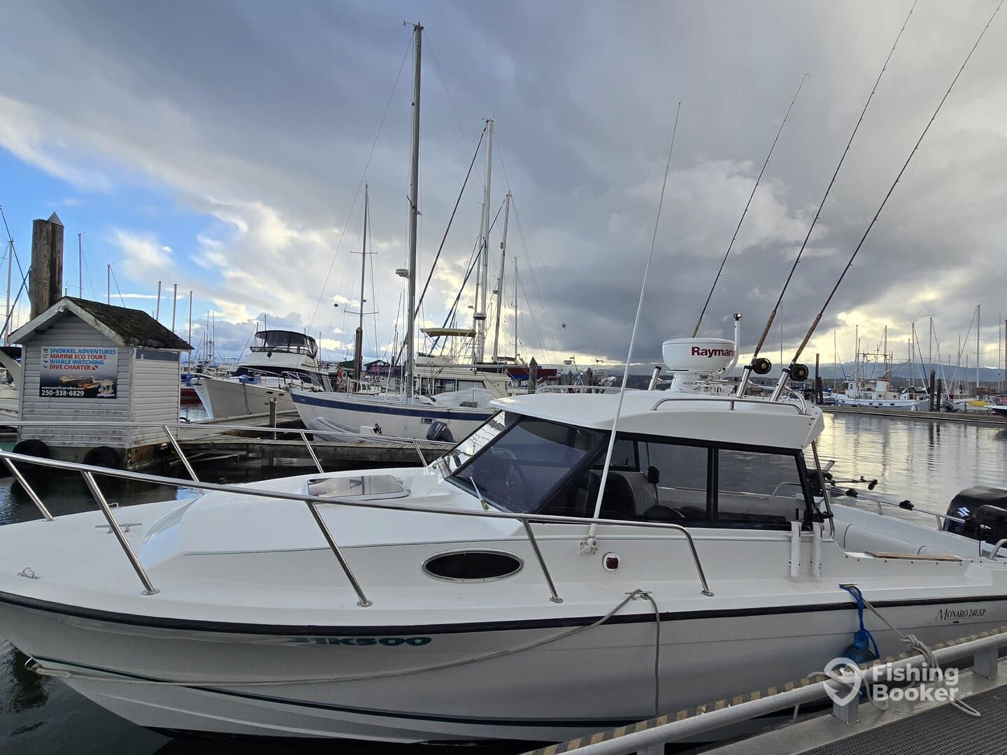 Charter Image