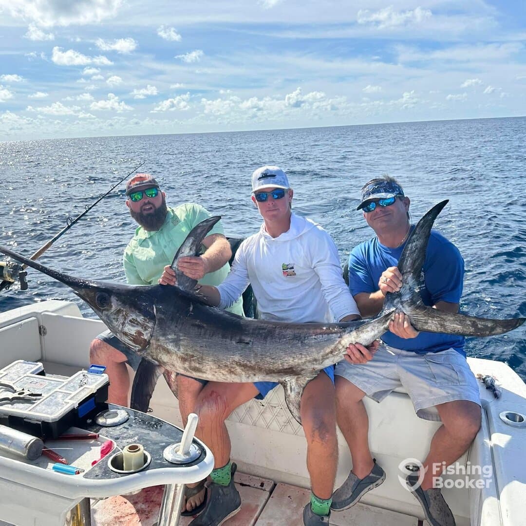 Charter Image