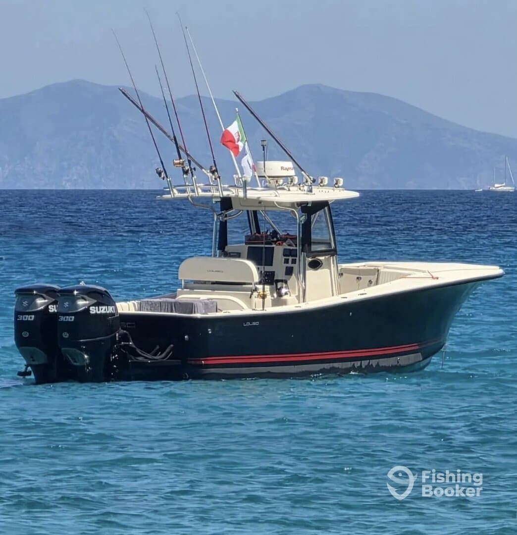 Charter Image