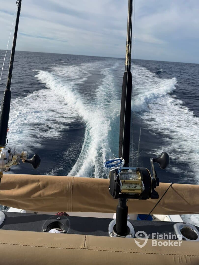 Charter Image