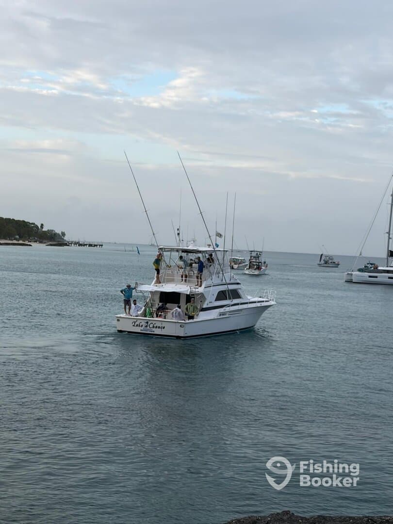 Charter Image