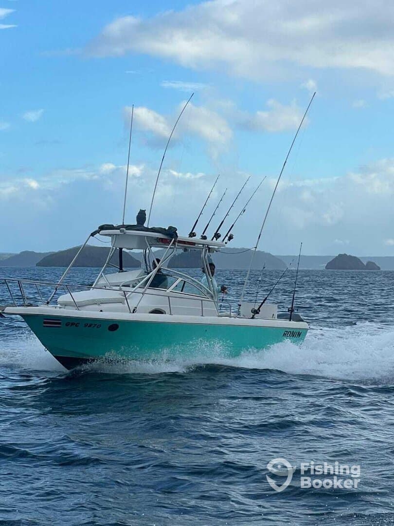 Charter Image