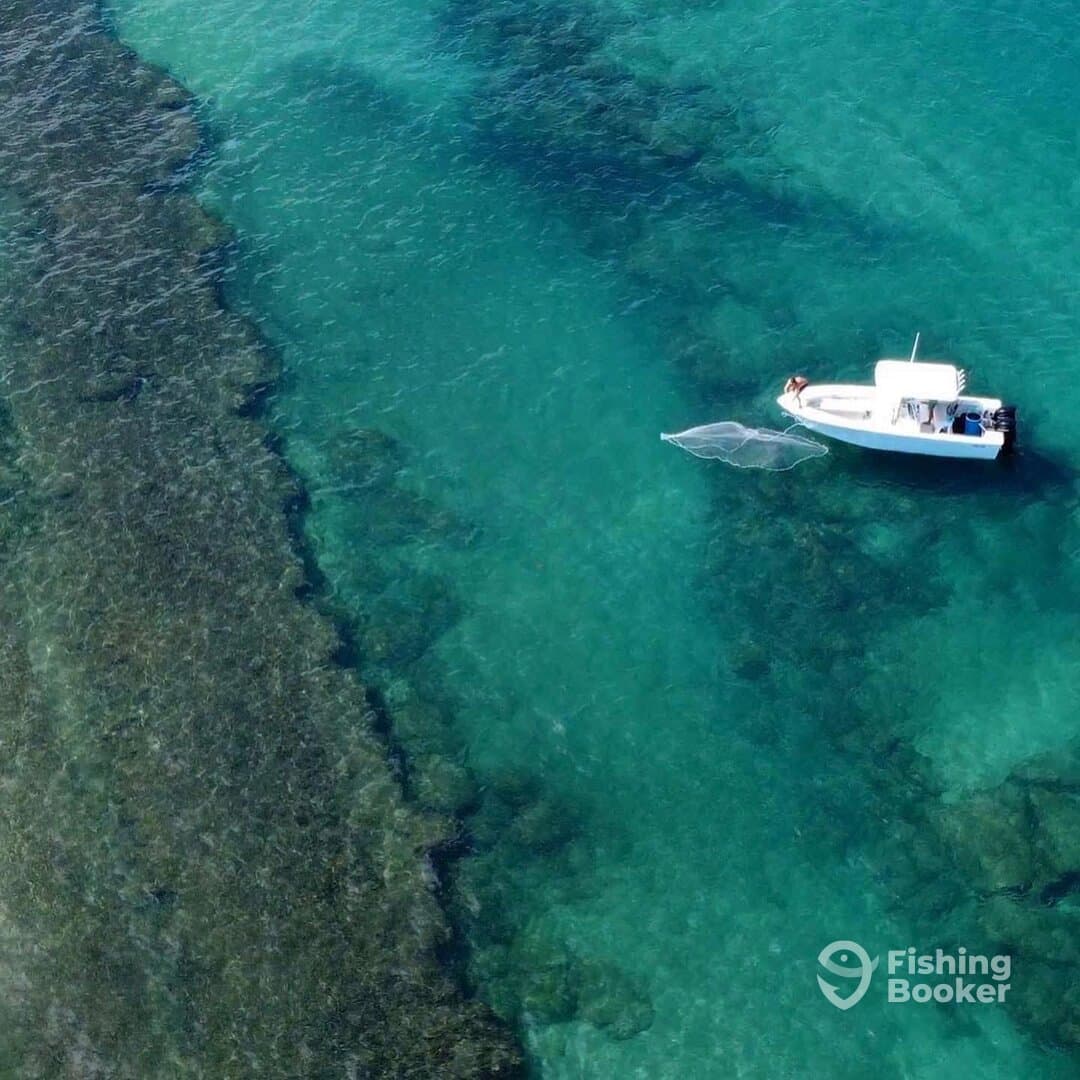 Charter Image