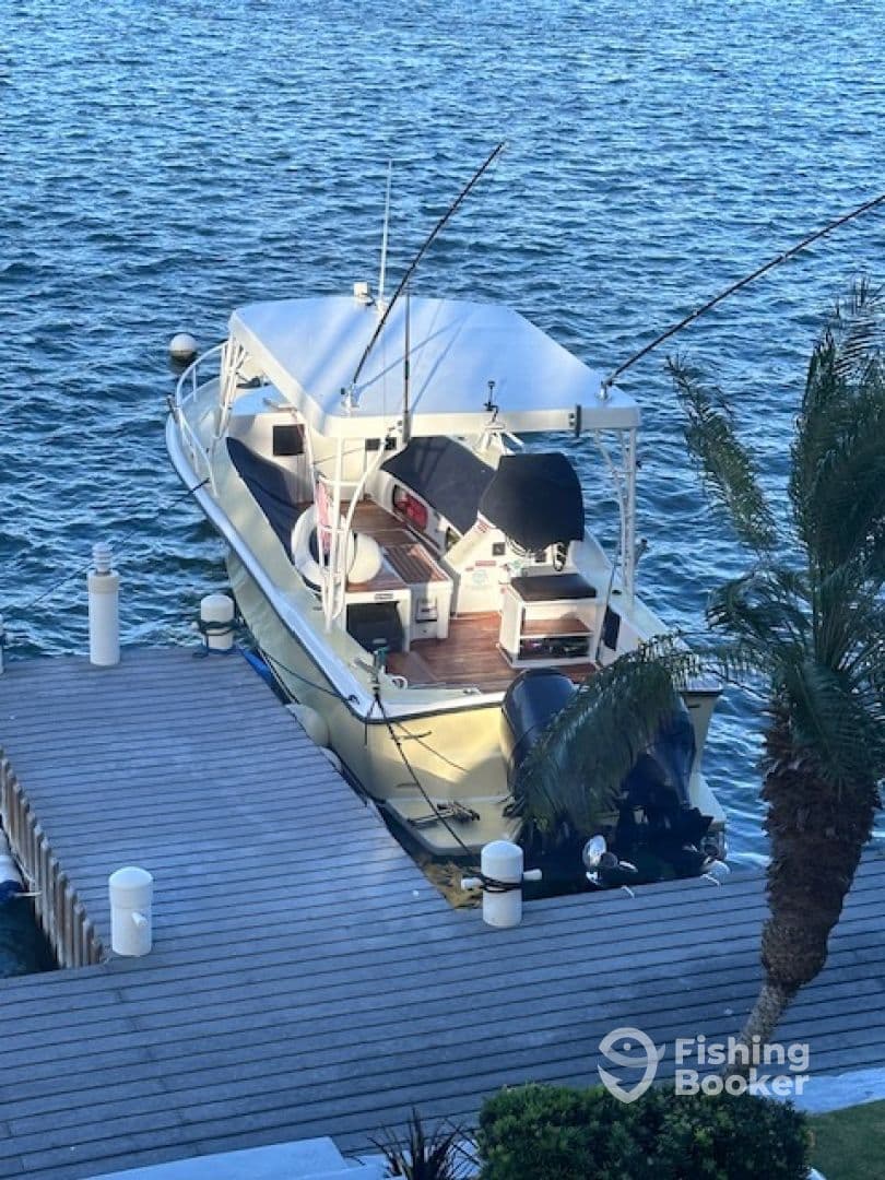 Charter Image