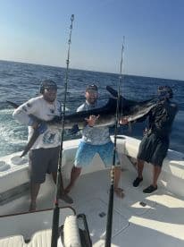 Three anglers proudly displaying a large Swordfish aboard a sportfishing boat, showcasing a successful deep-sea fishing trip.