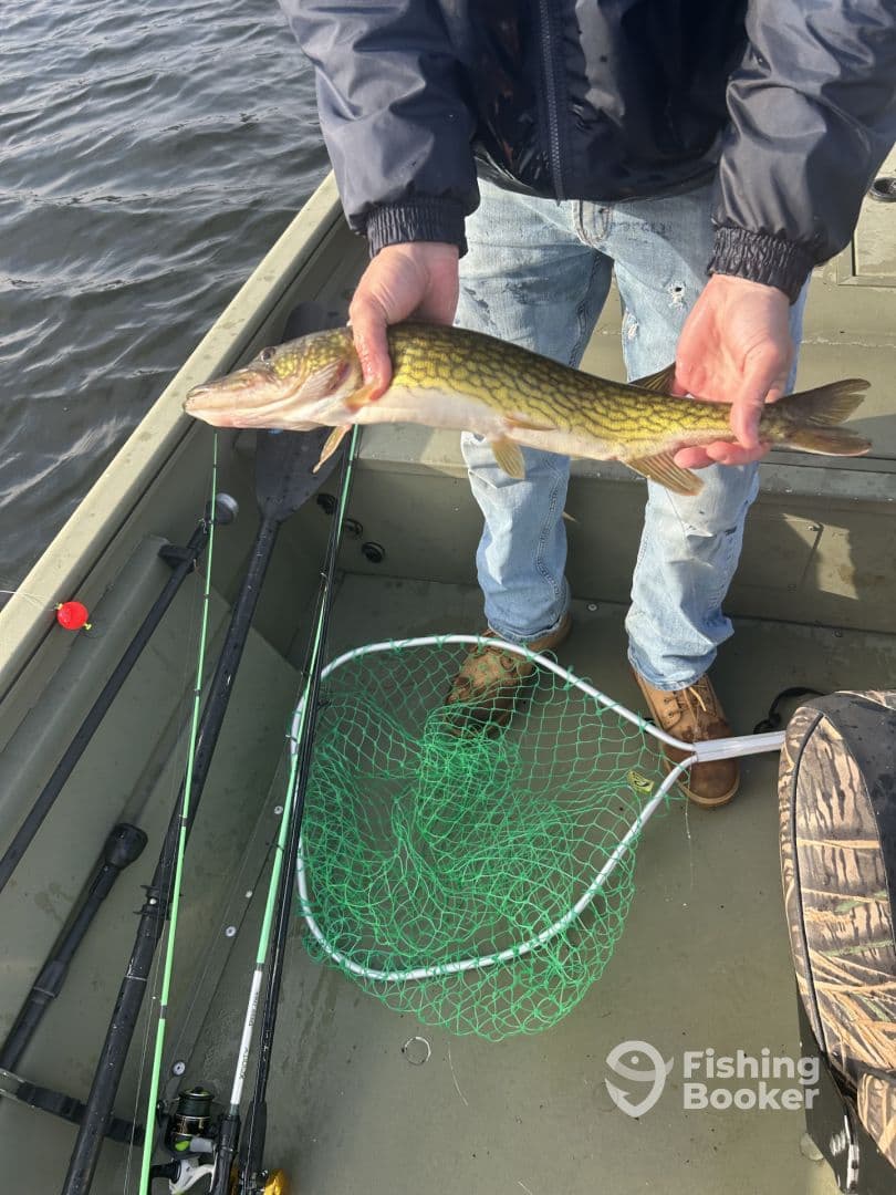 Angler holding a Northern Pike on a small fishing boat, showcasing a successful catch during a freshwater fishing trip.
