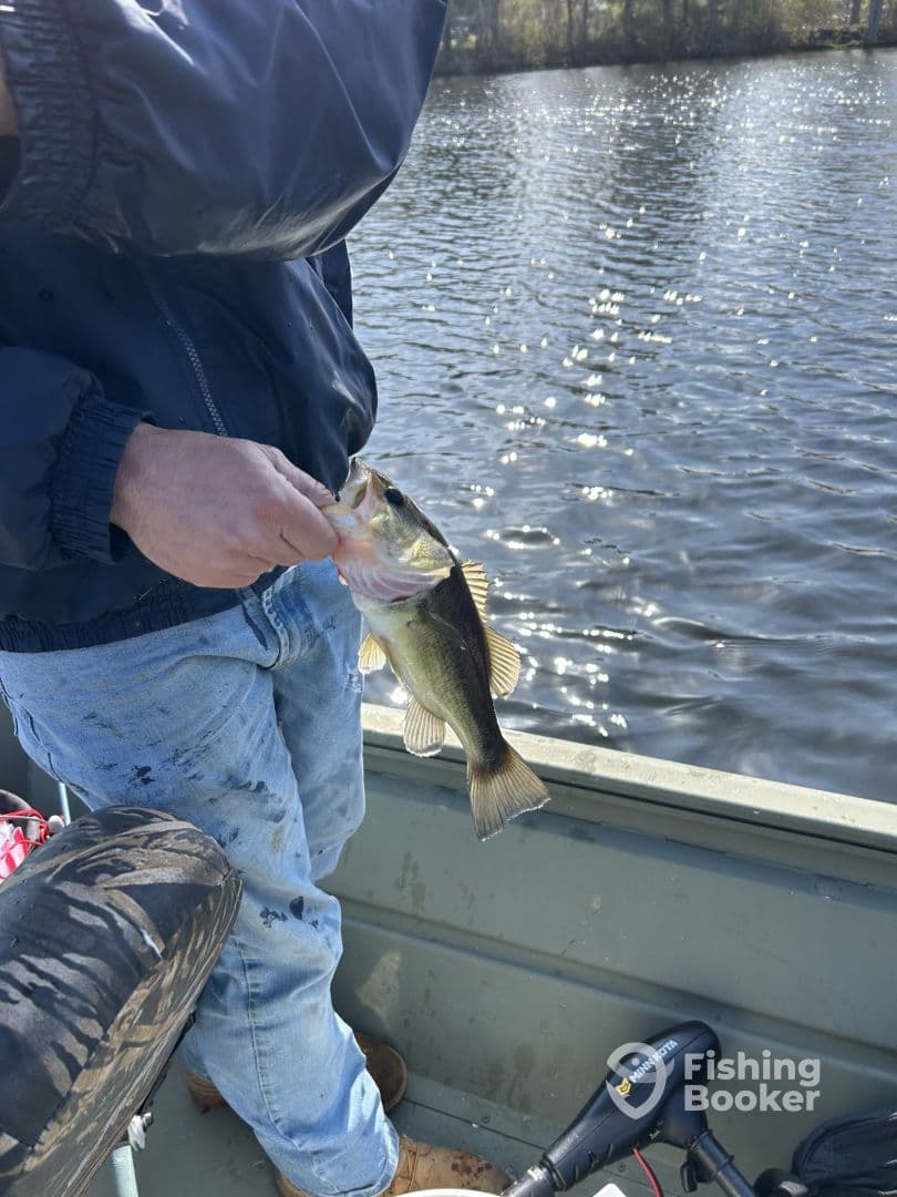 Angler holding a freshly caught Largemouth Bass while fishing from a small boat on a calm lake.