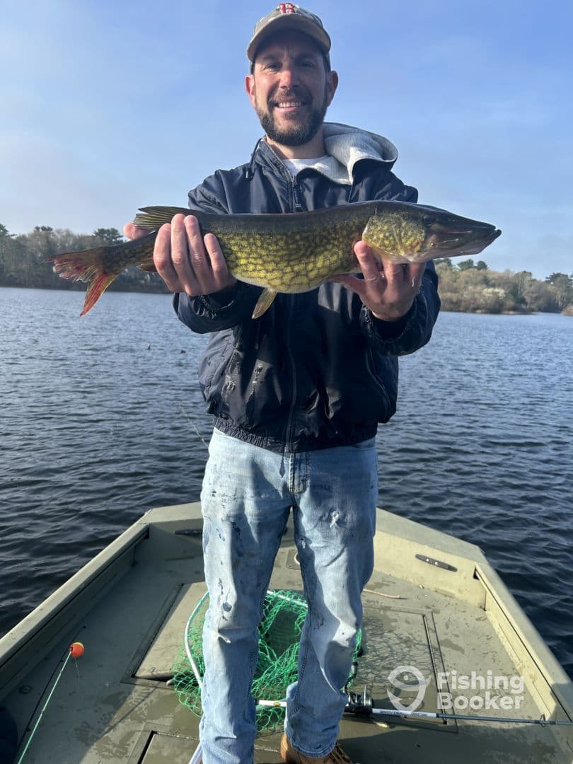 Angler proudly displaying a Northern Pike while fishing from a small boat on a calm lake.