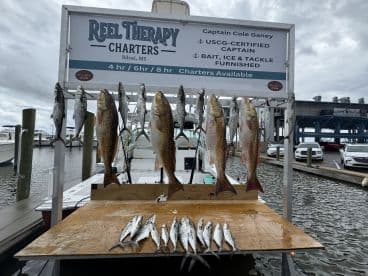 A display of freshly caught fish, including Redfish and Spanish Mackerel, arranged on a board at a Biloxi, MS fishing charter dock.