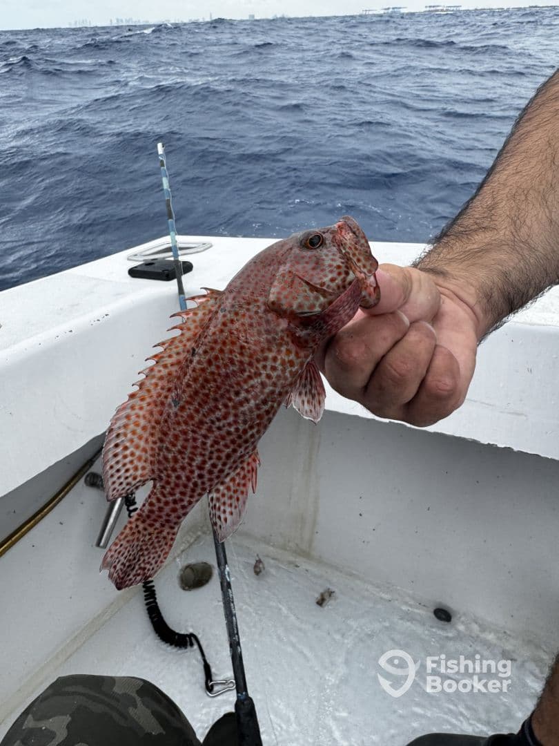 Little windy, still fishy