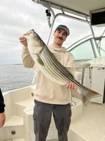 Angler proudly displaying a large Striped Bass aboard a boat during a fishing trip.