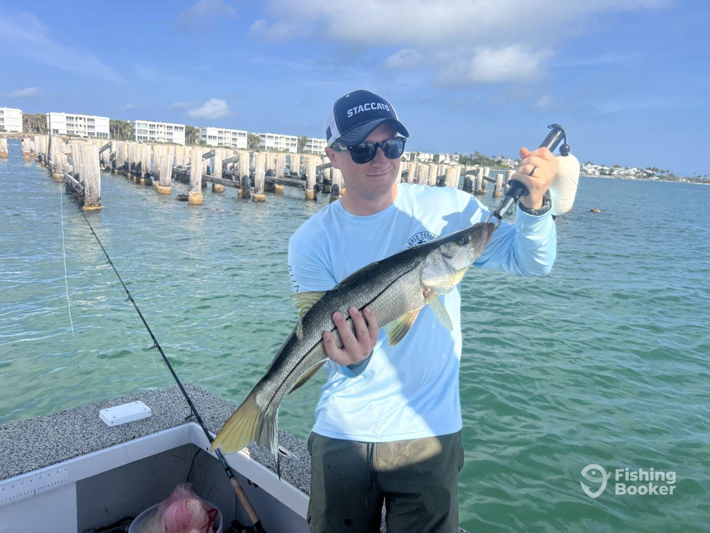 Monster Snook