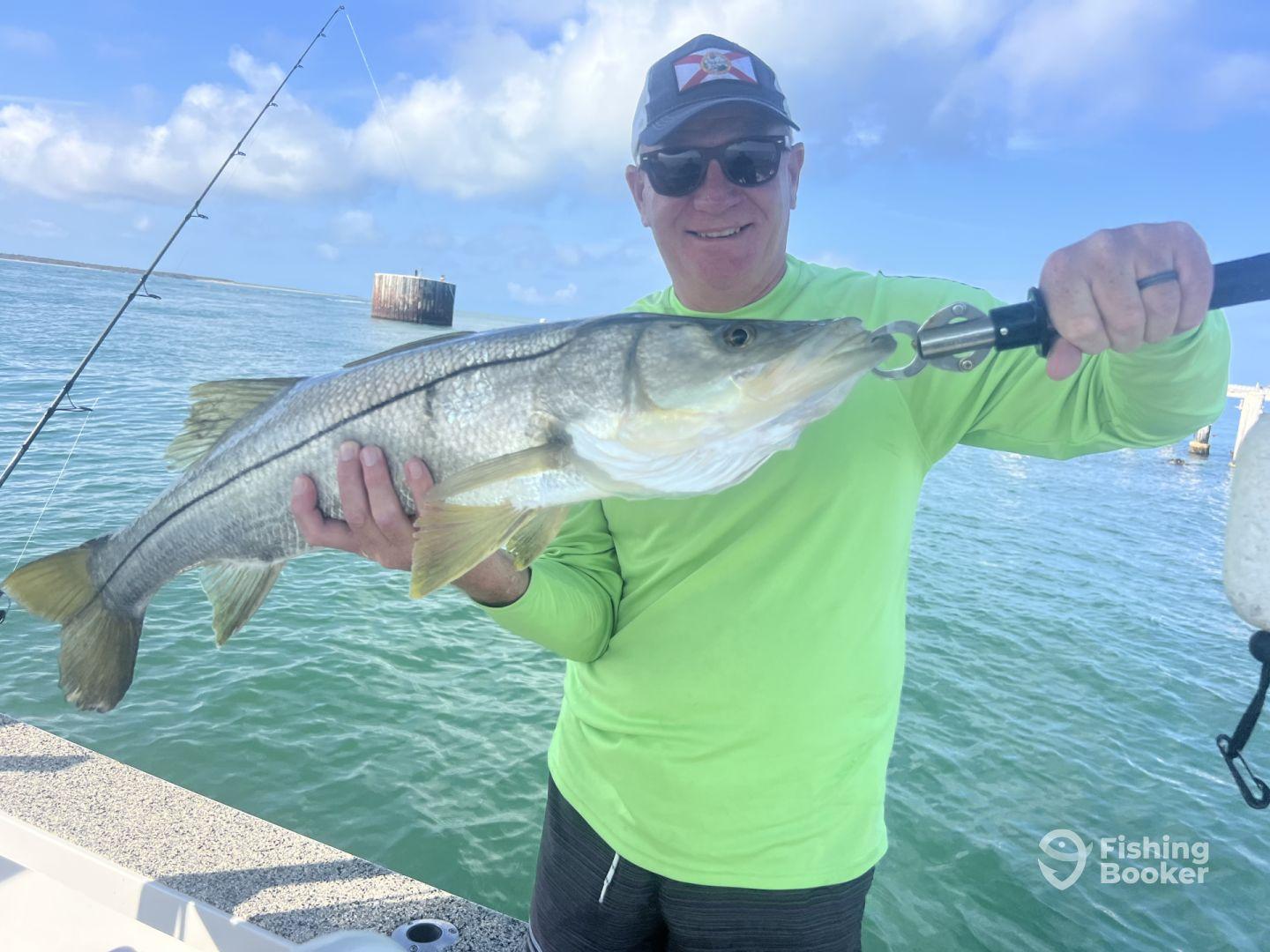 Monster Snook