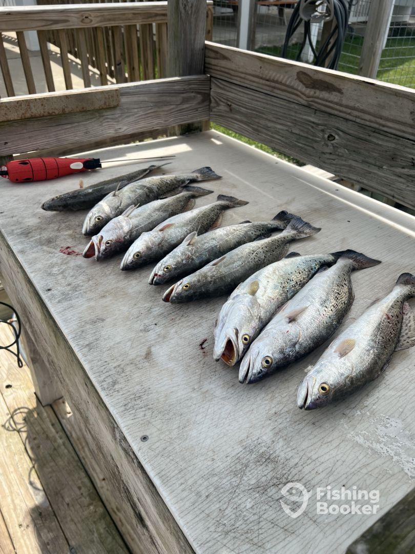 Great captain!  Great experience!