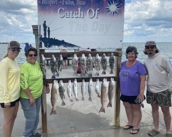 A group of four anglers proudly posing in front of a catch board displaying a variety of fish, including Speckled Trout, after a successful fishing trip in Rockport, Texas.