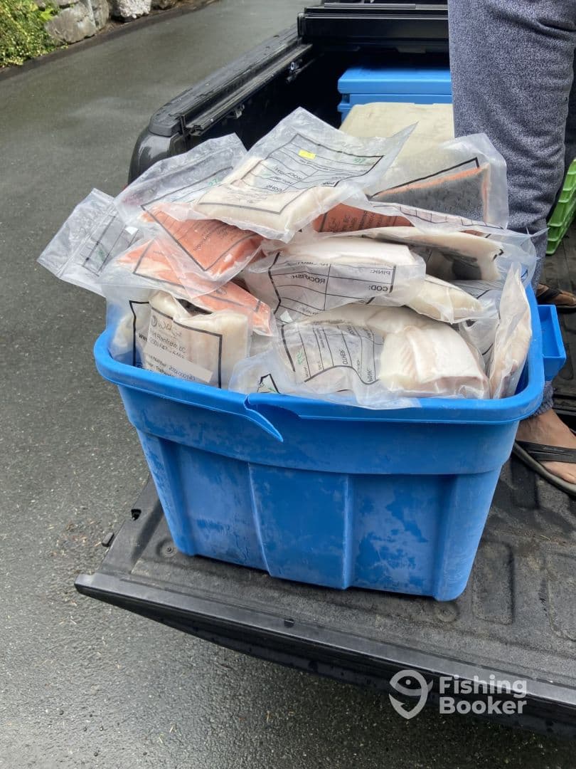 A blue storage bin filled with vacuum-sealed fish fillets, ready for distribution after a successful fishing trip.