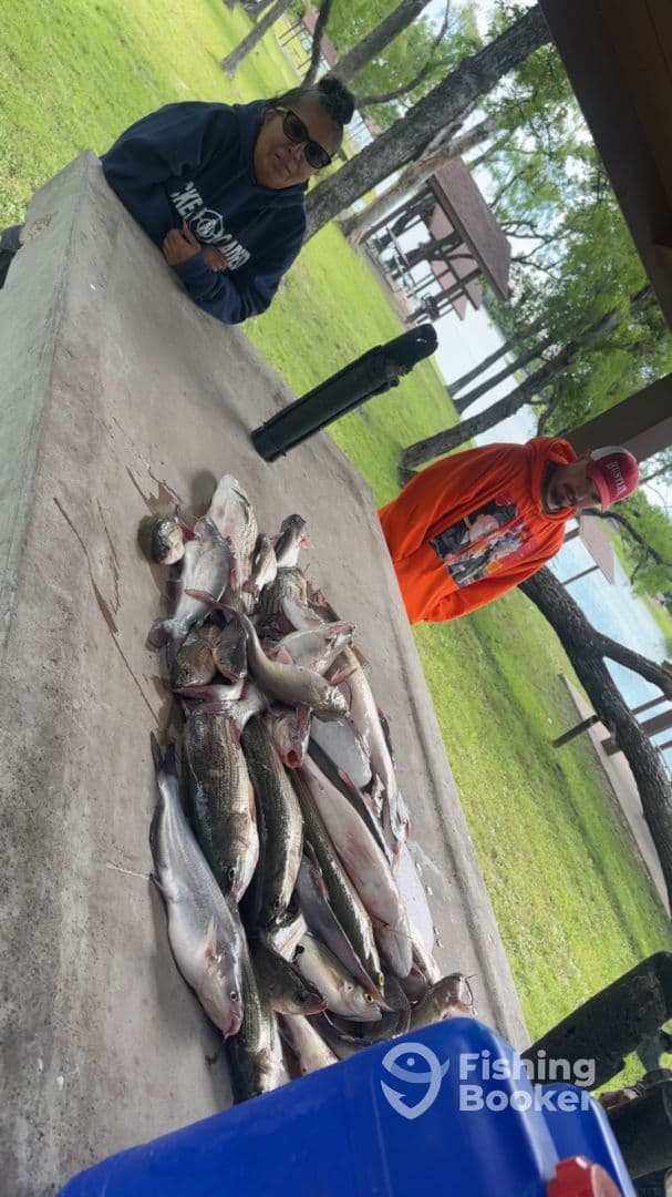 A group of anglers displaying a large catch of catfish on a table at a lakeside location, showcasing a successful fishing trip.