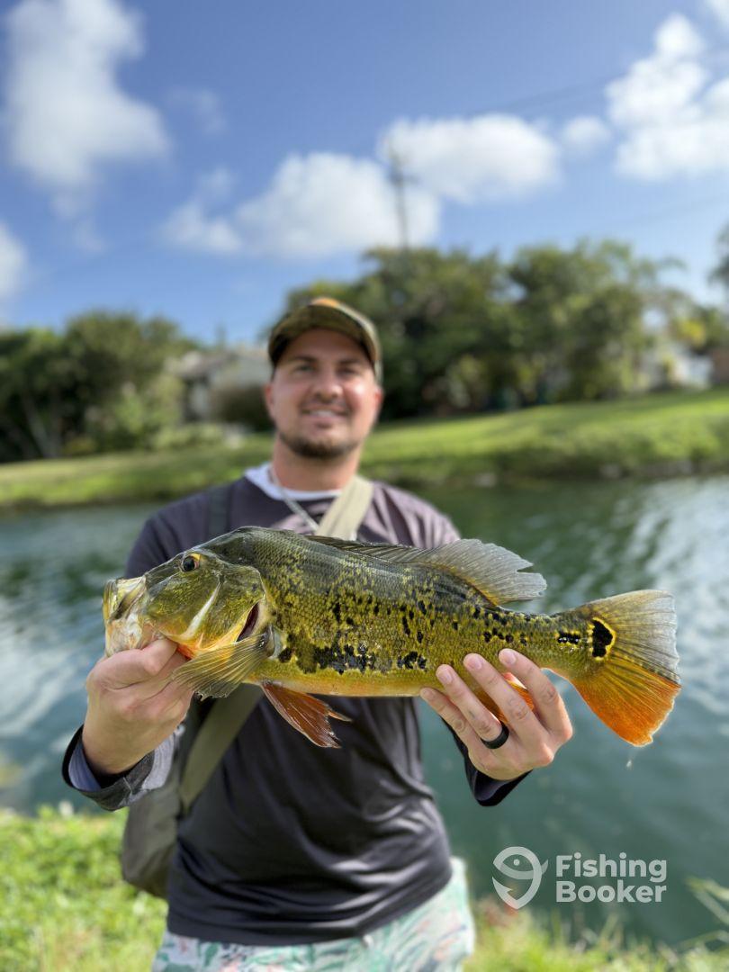 1 hour land trip with Byron