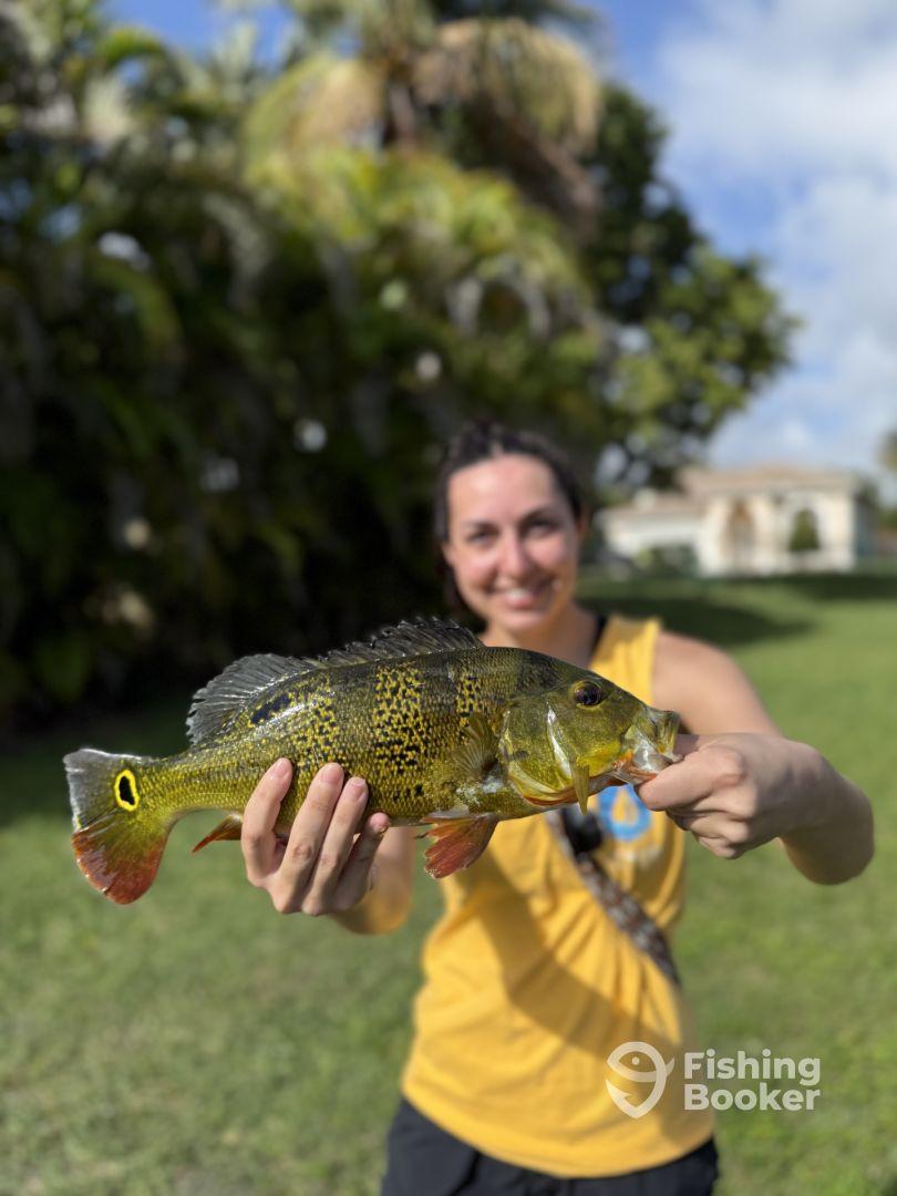 1 hour land trip with Byron