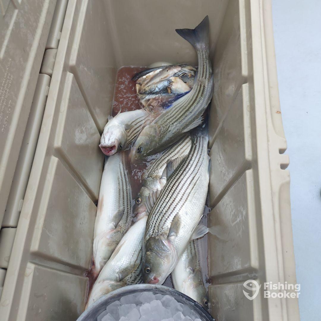 Best Fishing Trip Ever