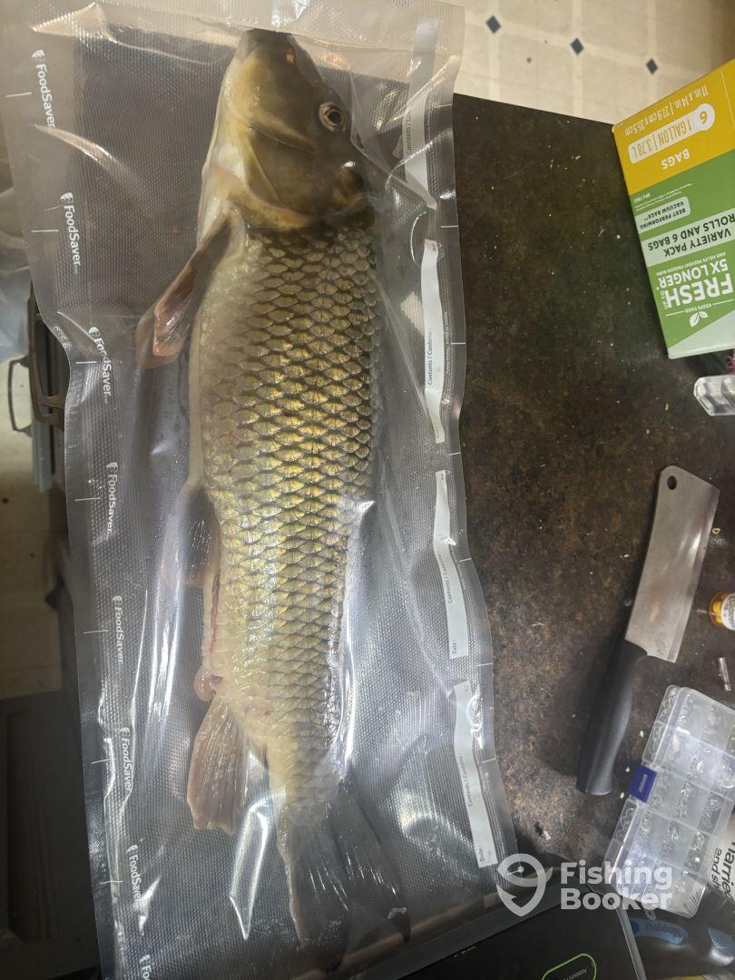 Loved the Drifter Boat 