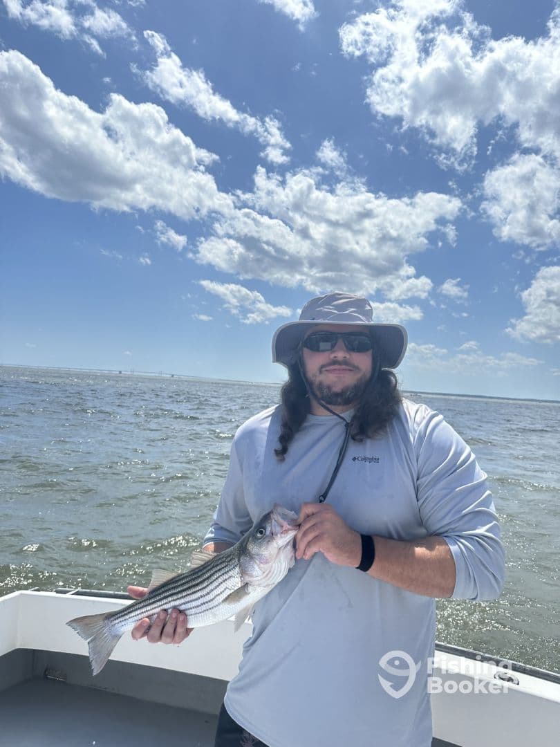 Angler holding a large Striped Bass while fishing on a sunny day, showcasing the excitement of a successful catch.