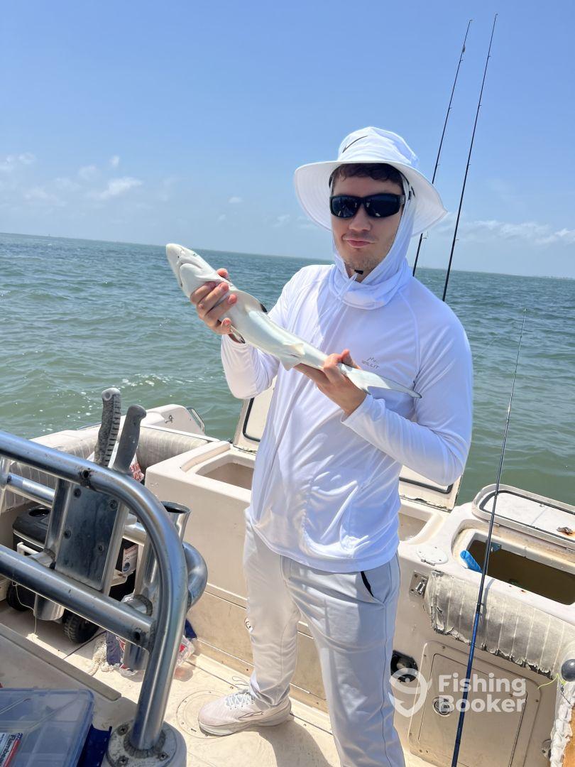 6hr sharks/reds (pm) 