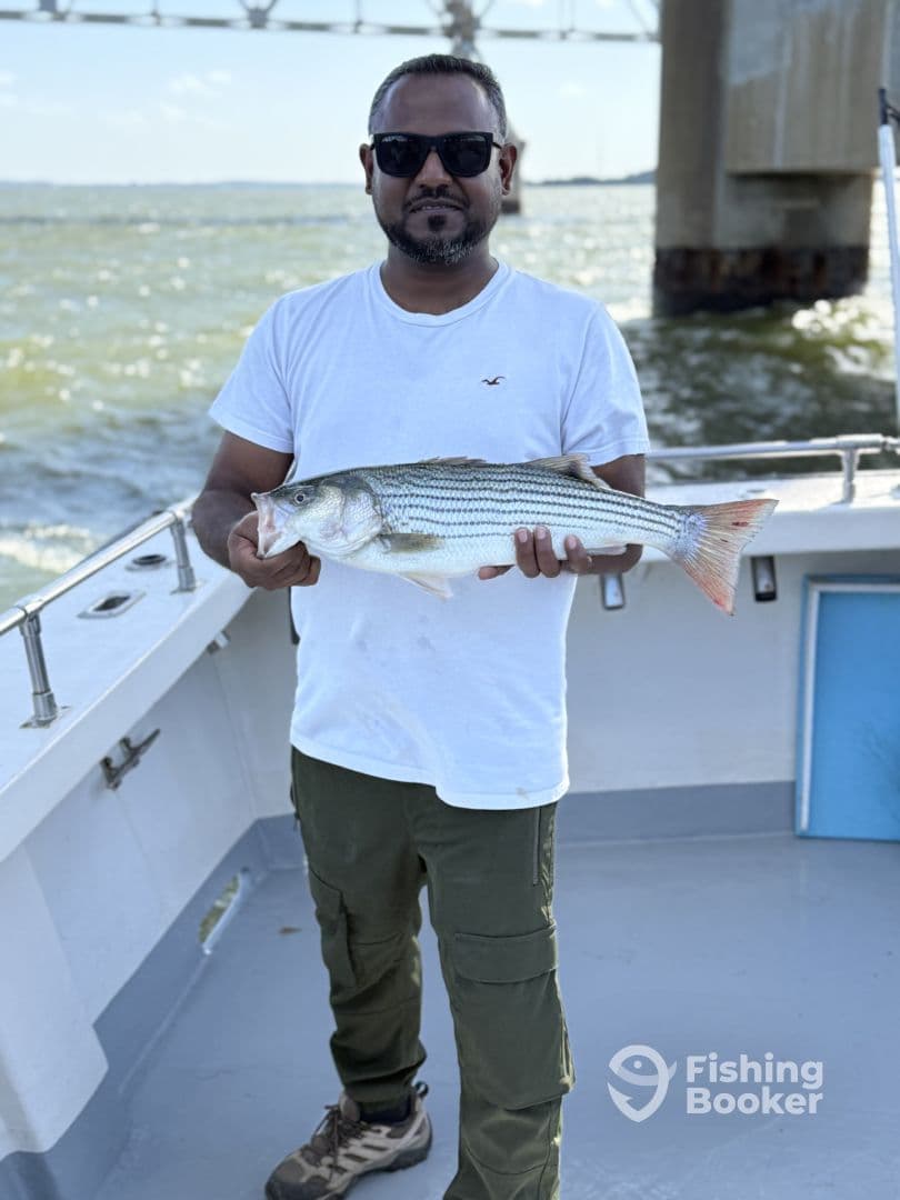 Angler proudly displaying a striped bass on a boat, enjoying a day of fishing.