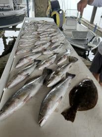A variety of fish, including Speckled Trout and Flounder, neatly arranged on a cleaning table at a dock, showcasing a successful fishing trip.
