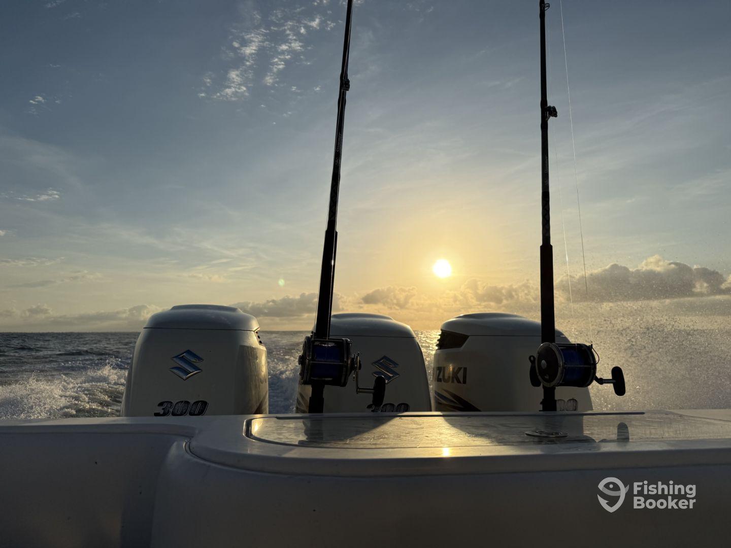 Knowledgeable and fun captain