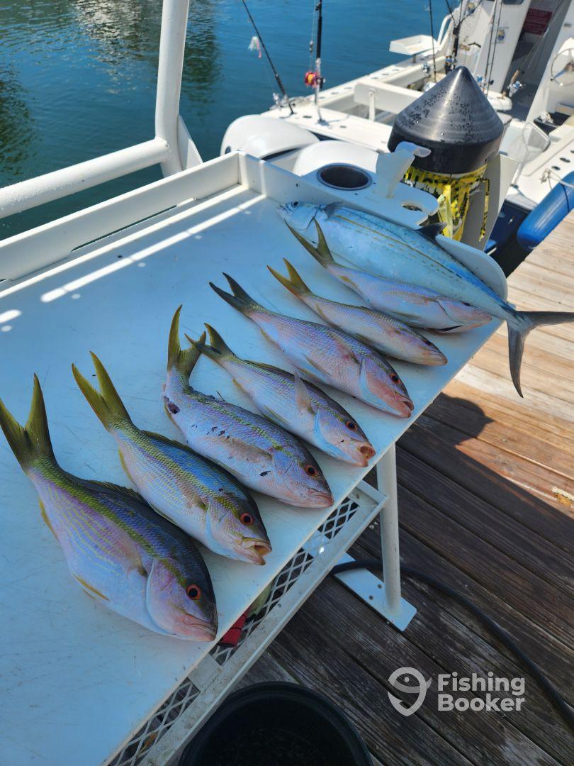 Perfect trip for those with little to no experience. 