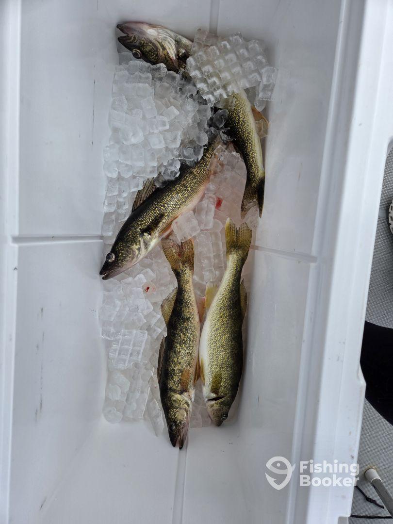 A fun day of fishing!