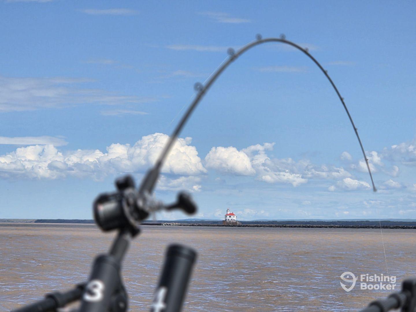 A fun day of fishing!