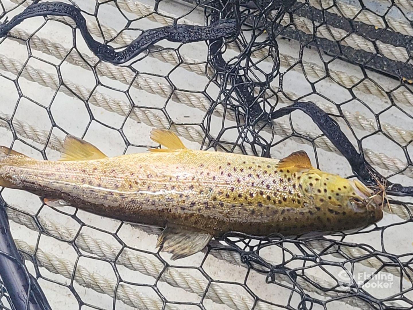 Great day on the river