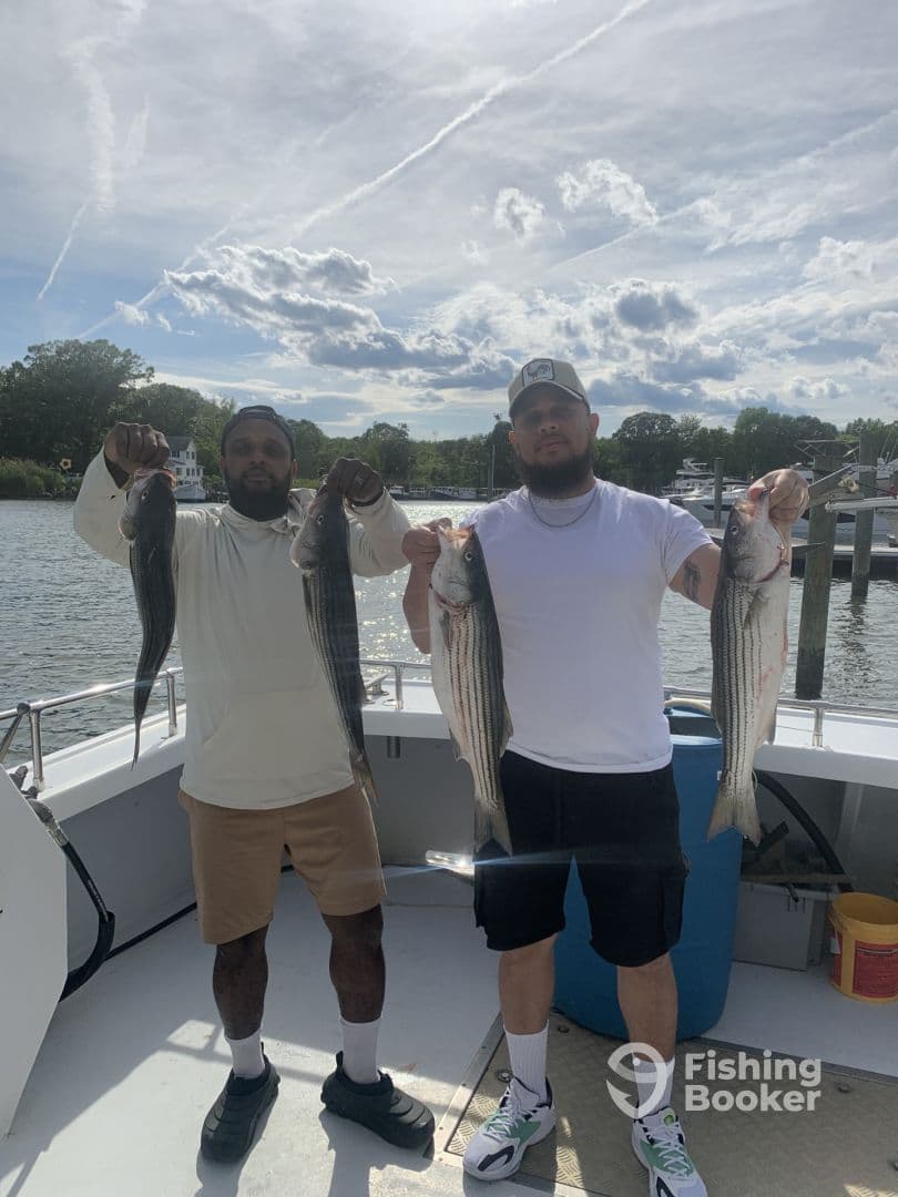 Two anglers proudly displaying their catch of striped bass aboard a fishing charter, enjoying a sunny day on the water.